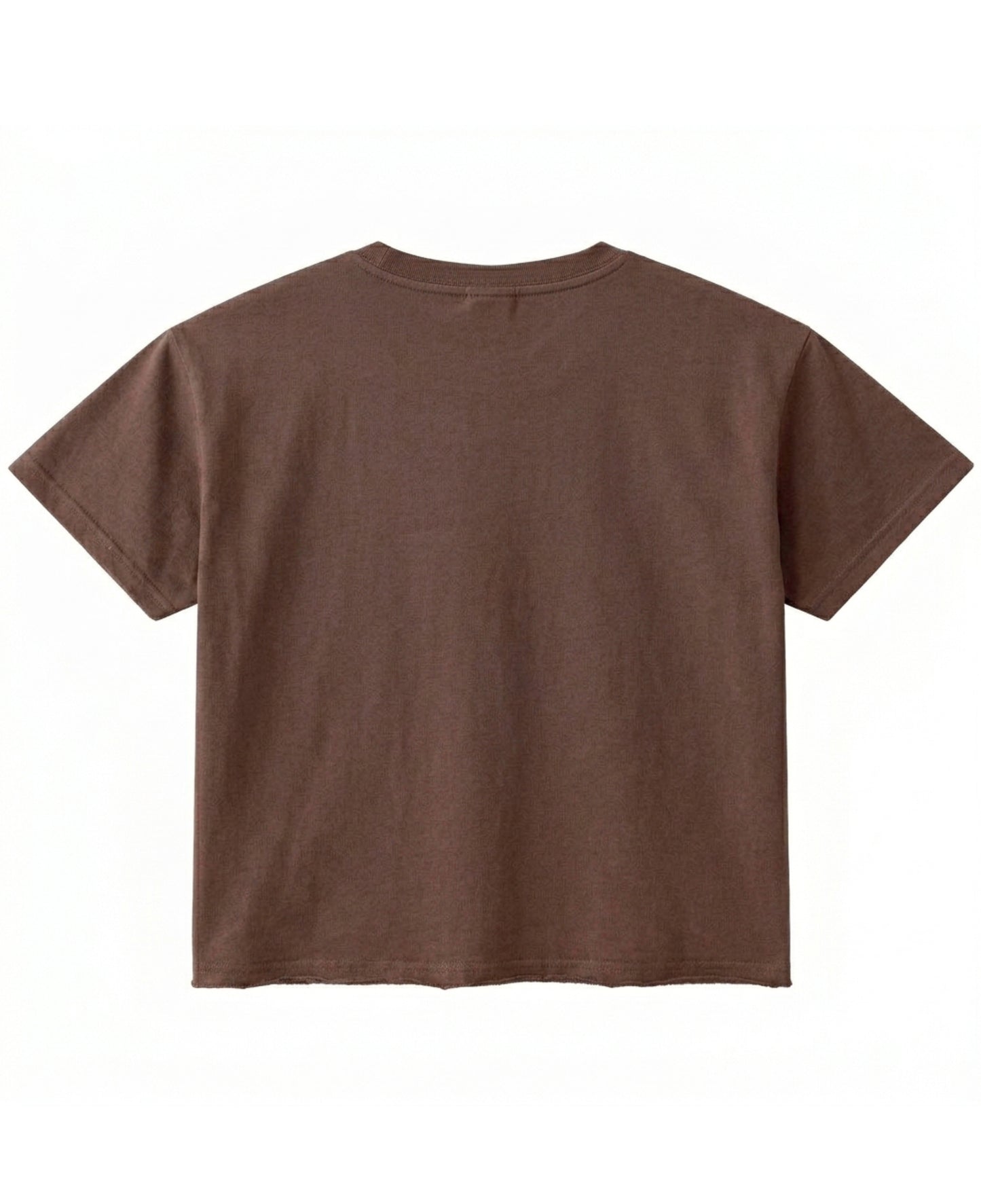 Brown Boxy Fit T-shirt Back Design