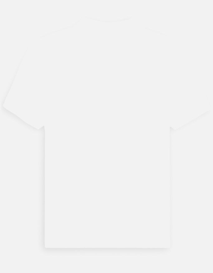 Back_3_c_4.jpg