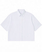 Blue Striped Oxford Boxy Shirt Front Design