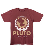 Maroon Regular Fit T-shirt Front Design