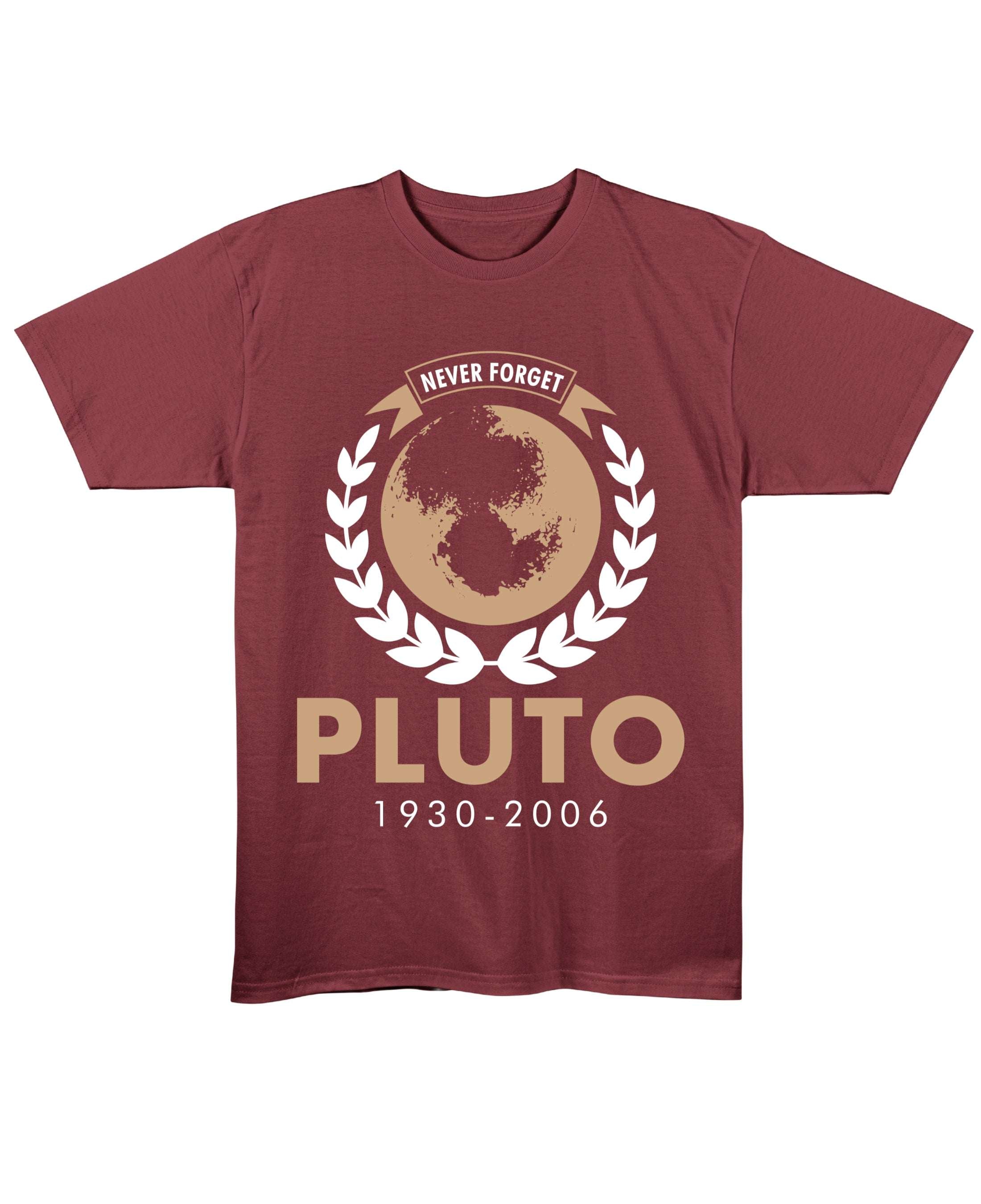 Maroon Regular Fit T-shirt Front Design