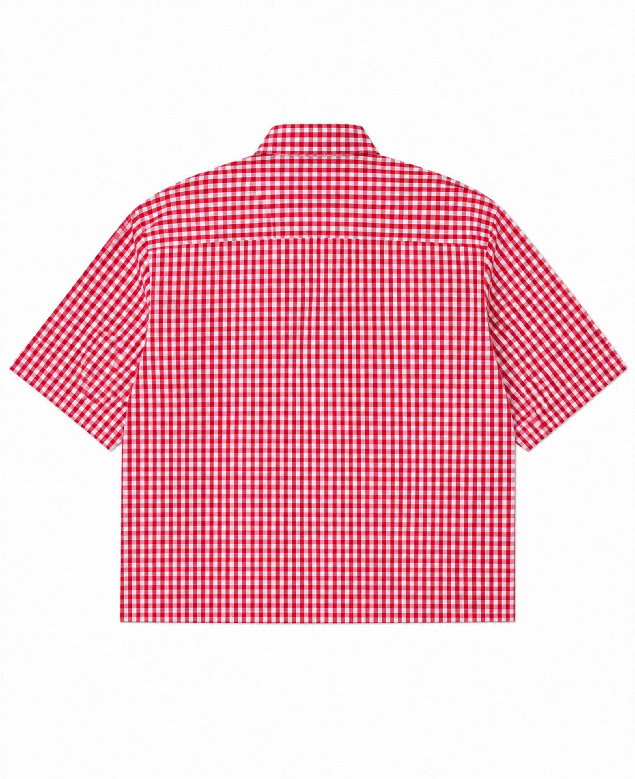 Red Picnic Oxford Boxy Shirt
