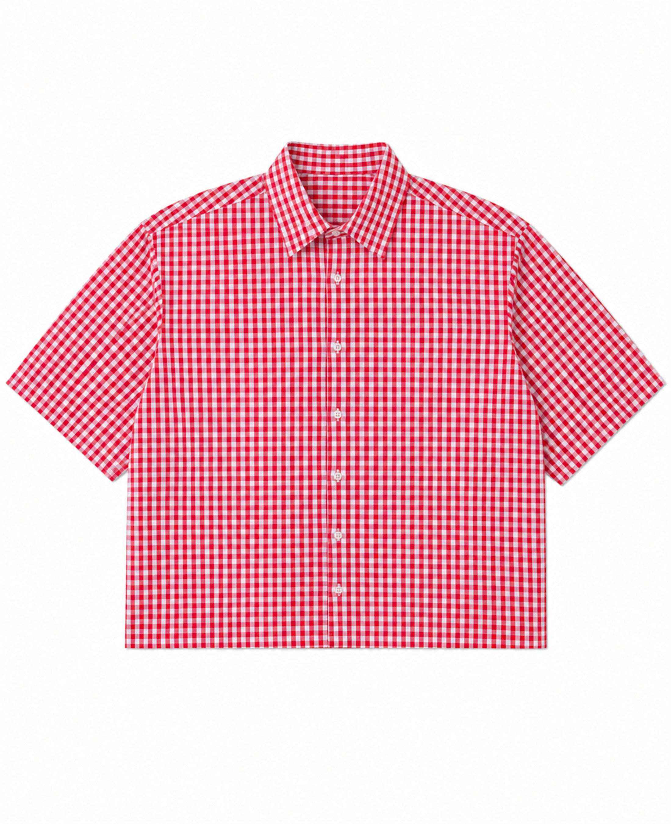 Red Picnic Oxford Boxy Shirt