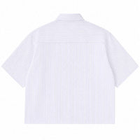 Blue Striped Oxford Boxy Shirt