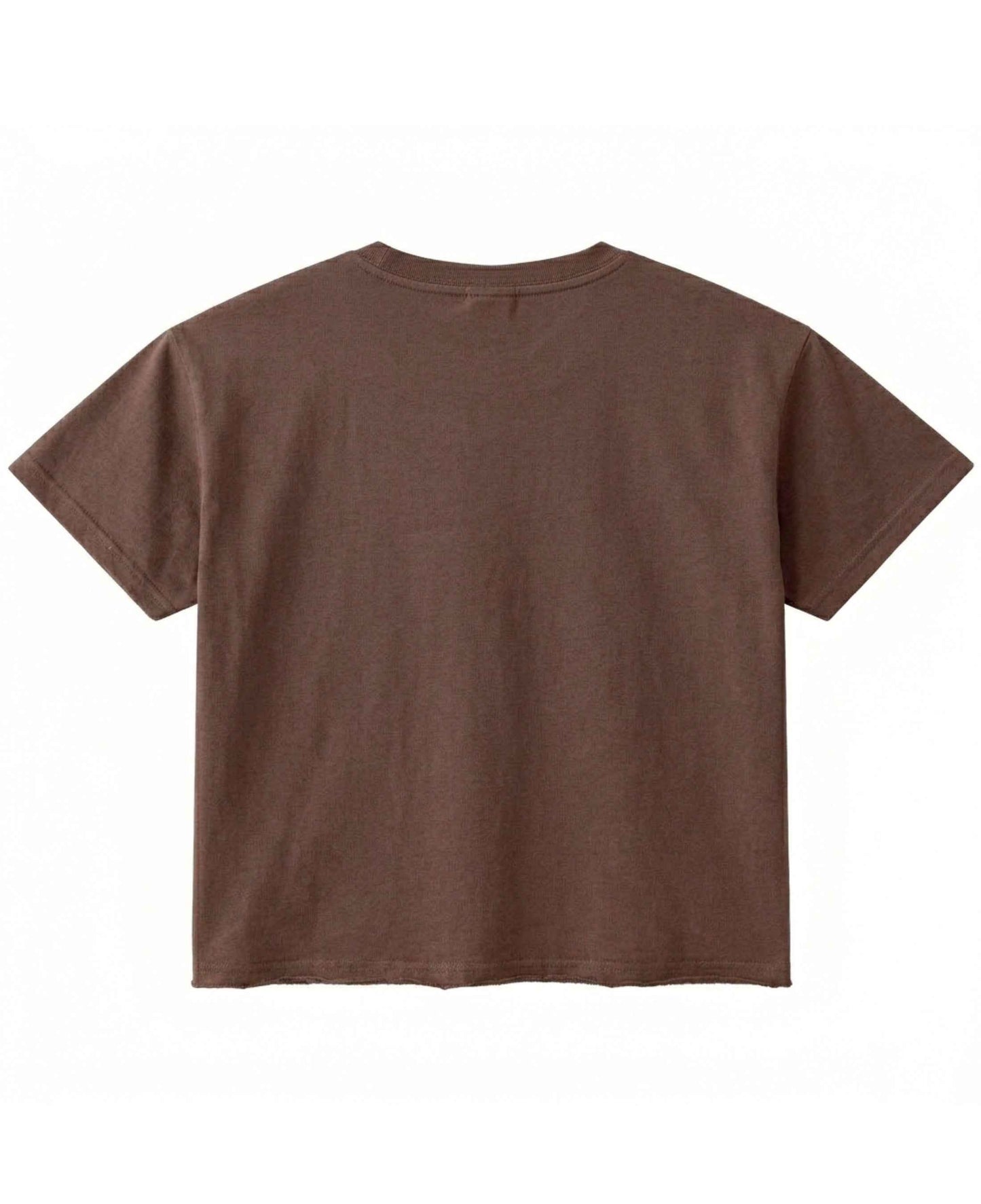 Brown Boxy Fit T-shirt