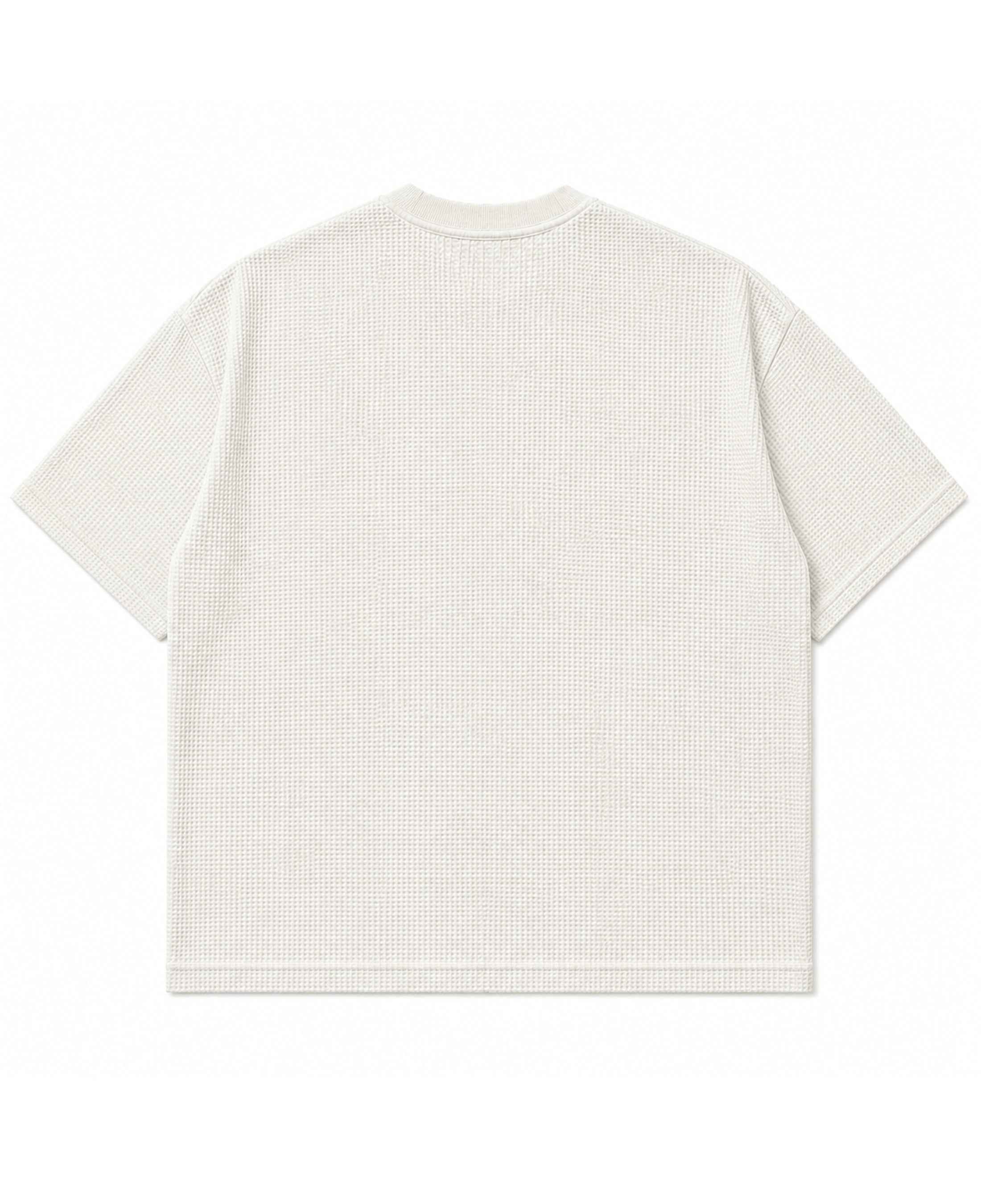 Lion Graphic Waffle Boxy Tee