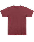 Never Forget Pluto - 1930-2006 T-Shirt