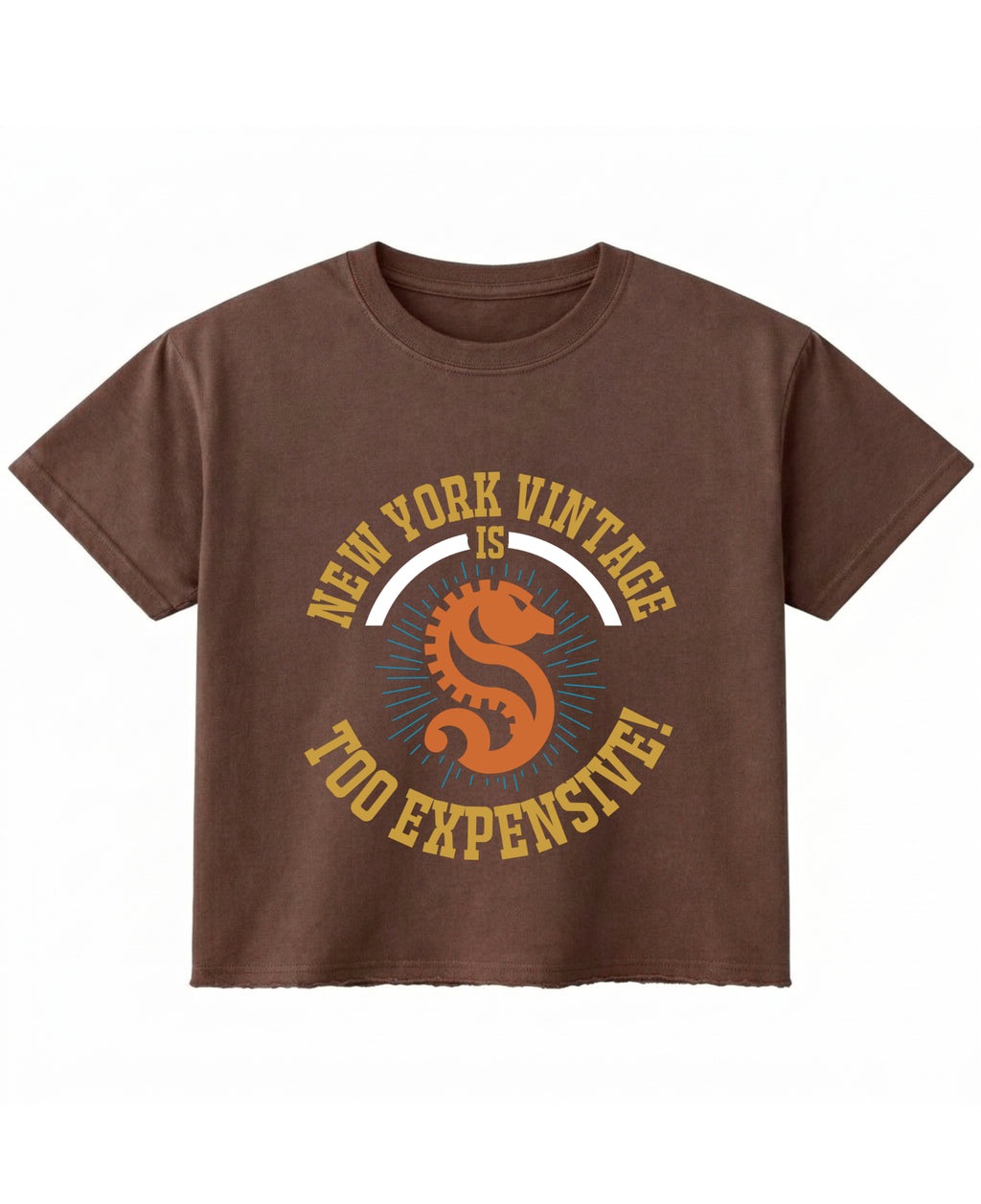 Brown Boxy Fit T-shirt Front Design